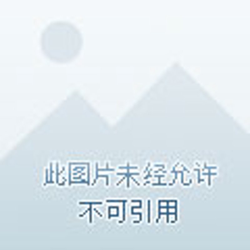 福州招商引资动态解析：发展新引擎